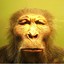 Australopithecus