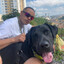 dukinha pressão