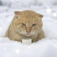 虎视眈眈耄耋酱