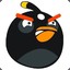BlackBird
