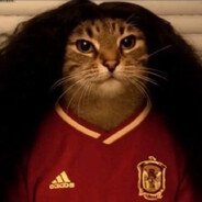 猫咪汉堡