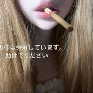 Noro - steam id 76561197962444656