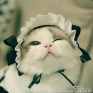 机智勇敢帅比漓