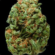 Settisaurus - steam id 76561197961437454