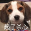 酥脆薯饼