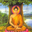 The Enlightened One
