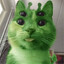 Zoopy