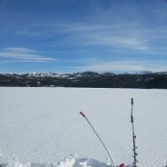gisle - steam id 76561197966546888