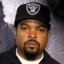 Ice Cube (Icelandic Cubicle)