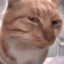 shib
