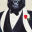 Mr Gorila