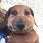 𝘾𝙧𝙞𝙢𝙨𝙤𝙣✮ - steam id 76561199445491406