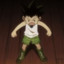 gon freeccs