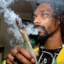Marijuana Enjoyer-