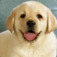 以猛为犸，不负勺滑