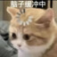 顾诩彧