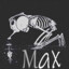 Max_x