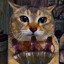 Skooma Cat