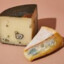 Moldy Cheese