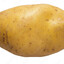 Potato