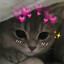 qHugz