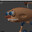 Polt