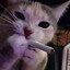 CatHappy
