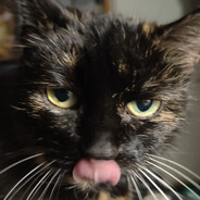 Vapa - steam id 76561198092738548