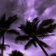 爱玩游戏的雷神