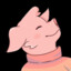 Piggggggggggggy