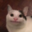50 fps