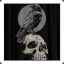 Storm_Crow
