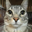 Gooty