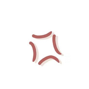 龙安高中第一突击手刘