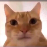 Farrel - steam id 76561199163039605