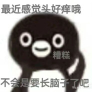 头好痒好像要长脑子了