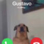 Gustavo