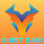 Quiet Raid