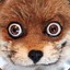 Foxite[TC]