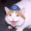 The Juicy Jew Cat is Back