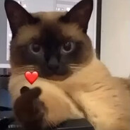 󠁳 󠁳