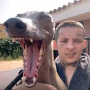 max avatar