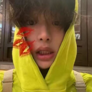 人生若只如初见