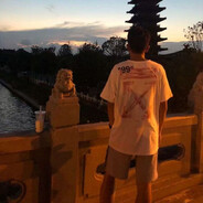 你爱的是齐天大圣而我