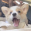 安详