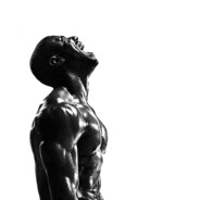 ⭐♛icemoonking1♛⭐