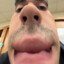 masonthefatty
