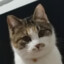 木子