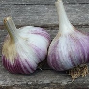 Анал Карнавал