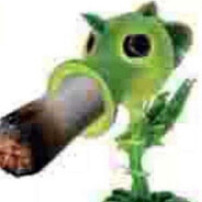 Raw Pea - steam id 76561198277710214